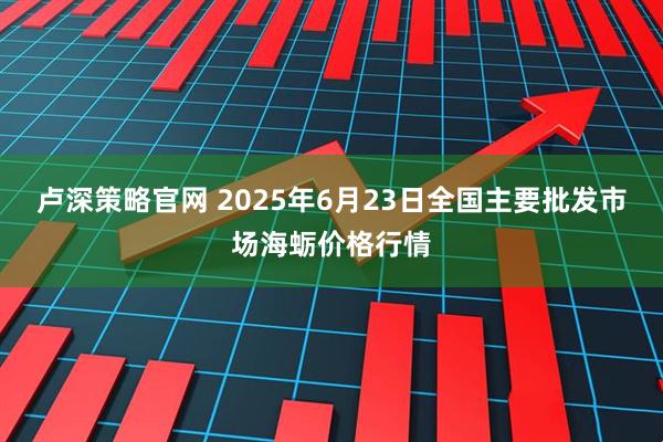 卢深策略官网 2025年6月23日全国主要批发市场海蛎价格行情