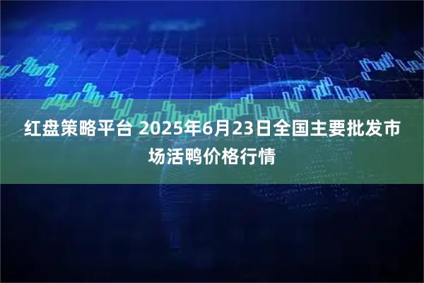 红盘策略平台 2025年6月23日全国主要批发市场活鸭价格行情