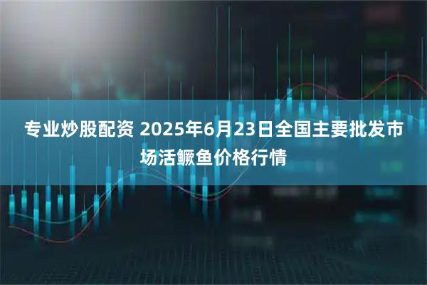 专业炒股配资 2025年6月23日全国主要批发市场活鳜鱼价格行情