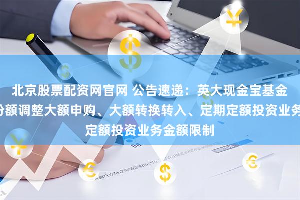 北京股票配资网官网 公告速递:英大现金宝基金B类基金份额调整大额申购、大额转换转入、定期定额投资业务金额限制
