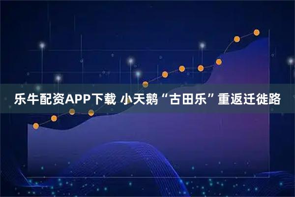 乐牛配资APP下载 小天鹅“古田乐”重返迁徙路