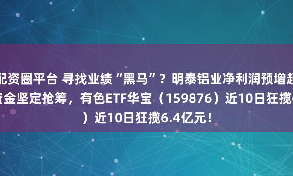 配资圈平台 寻找业绩“黑马”？明泰铝业净利润预增超12%！资金坚定抢筹，有色ETF华宝（159876）近10日狂揽6.4亿元！